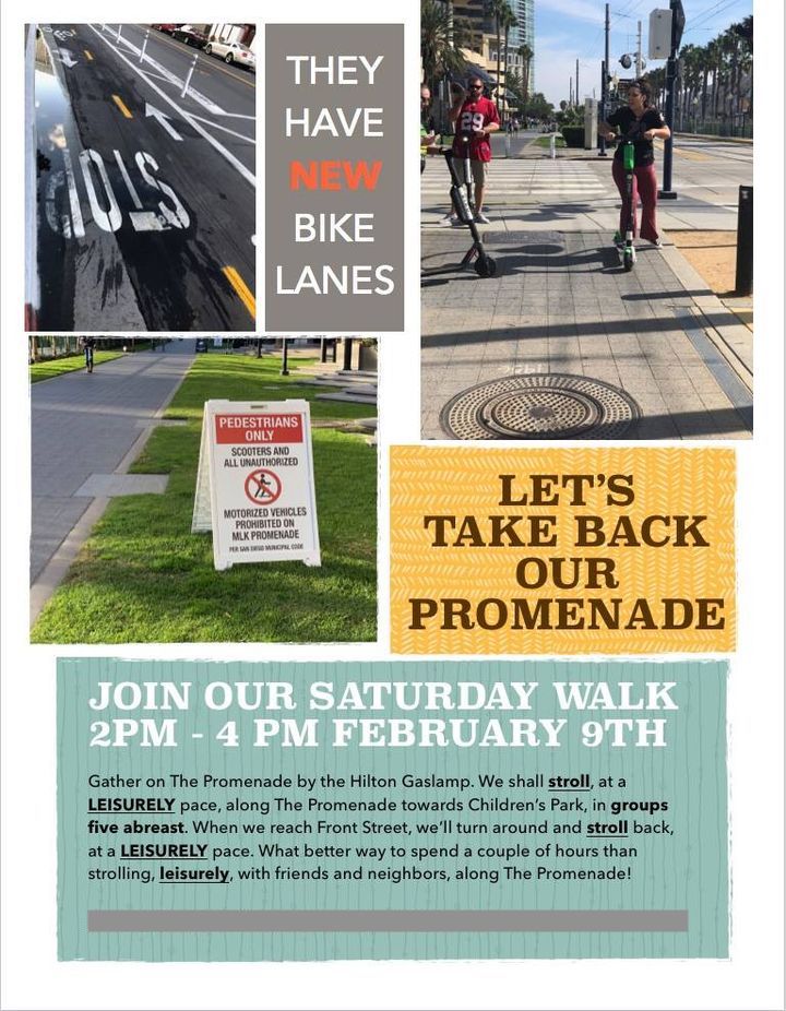 Flyer for MLK Promenade protest walk.